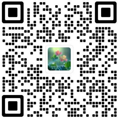 中国会展杂志模板